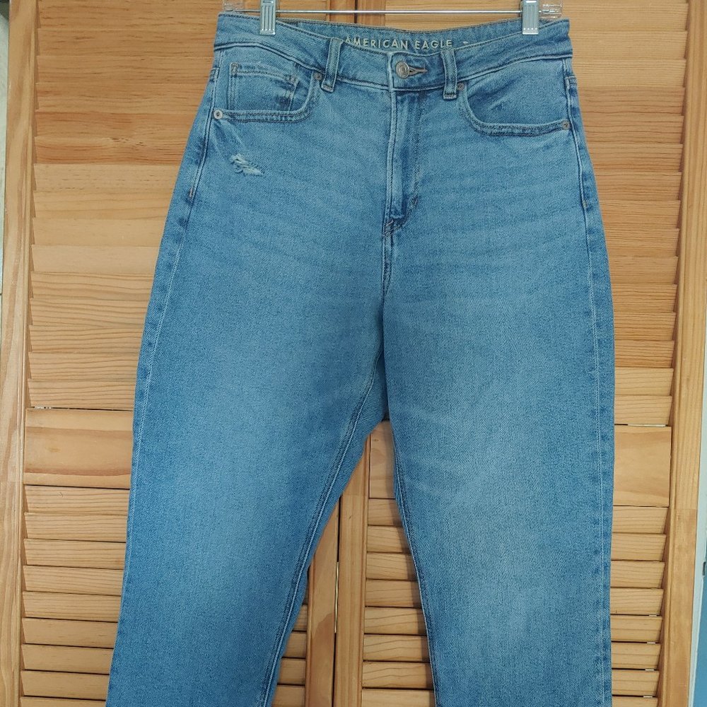 AE Mom Jeans